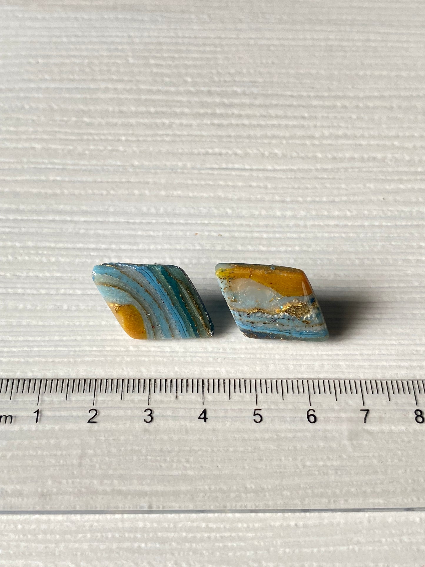 Orecchini LOBO MARE E TERRA